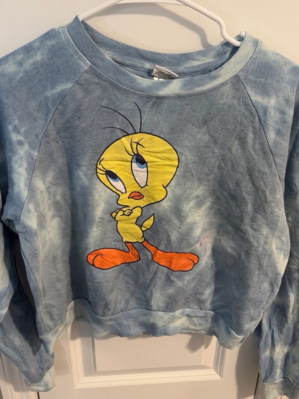 Light Blue Tie-Dye Tweety Graphic Crewneck Sweatshirt